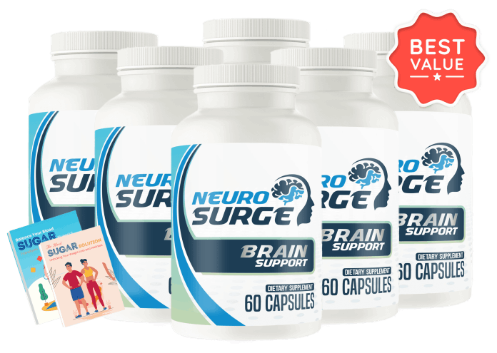 NeuroSurge-2